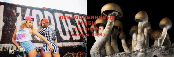 apvp Белоозёрский