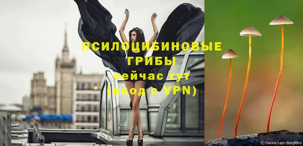 apvp Белоозёрский