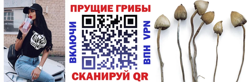 Галлюциногенные грибы GOLDEN TEACHER  где найти   Великий Устюг 